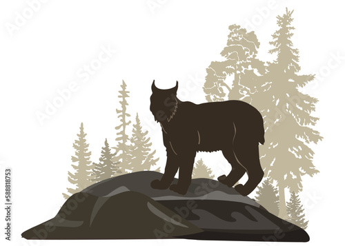 Forest woodland landscape with wild cat lynx on a rock. Vector illustration