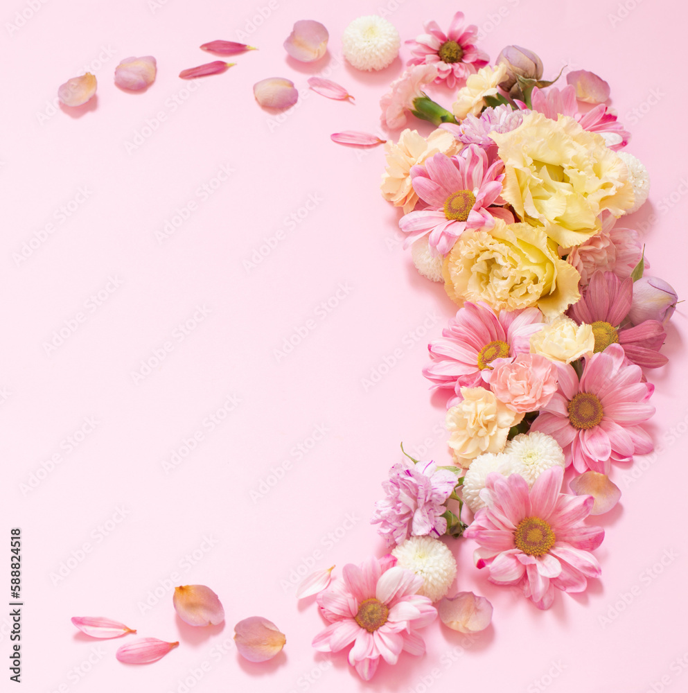 beautiful flowers on pink background