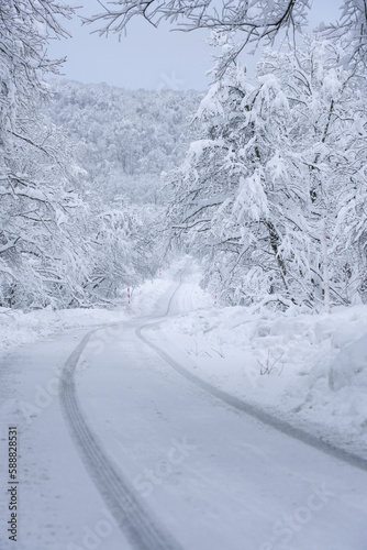 Snow covering trees and the water below, motion blur panorama, blue, contest winner, figurative naturalism, minolta riva mini, dark azure and white © Seika