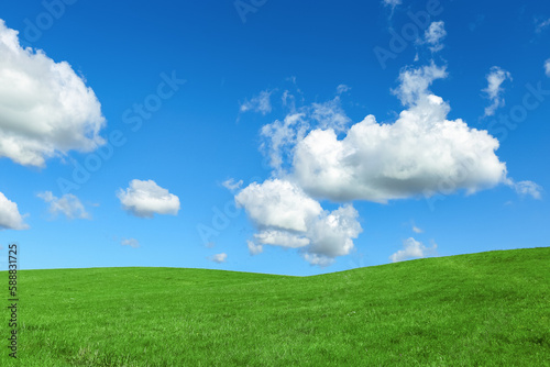 Green grass and blue sky with white fluffy clouds  beauty nature background. Perfect summer greenery field  hill  grassland. Nature environment landscape  lush green grass meadow  blue sky