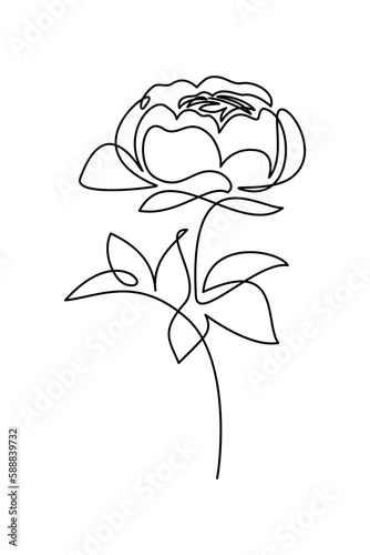 Peony flower in continuous line art drawing style. Black linear sketch isolated on white background. Vector illustration