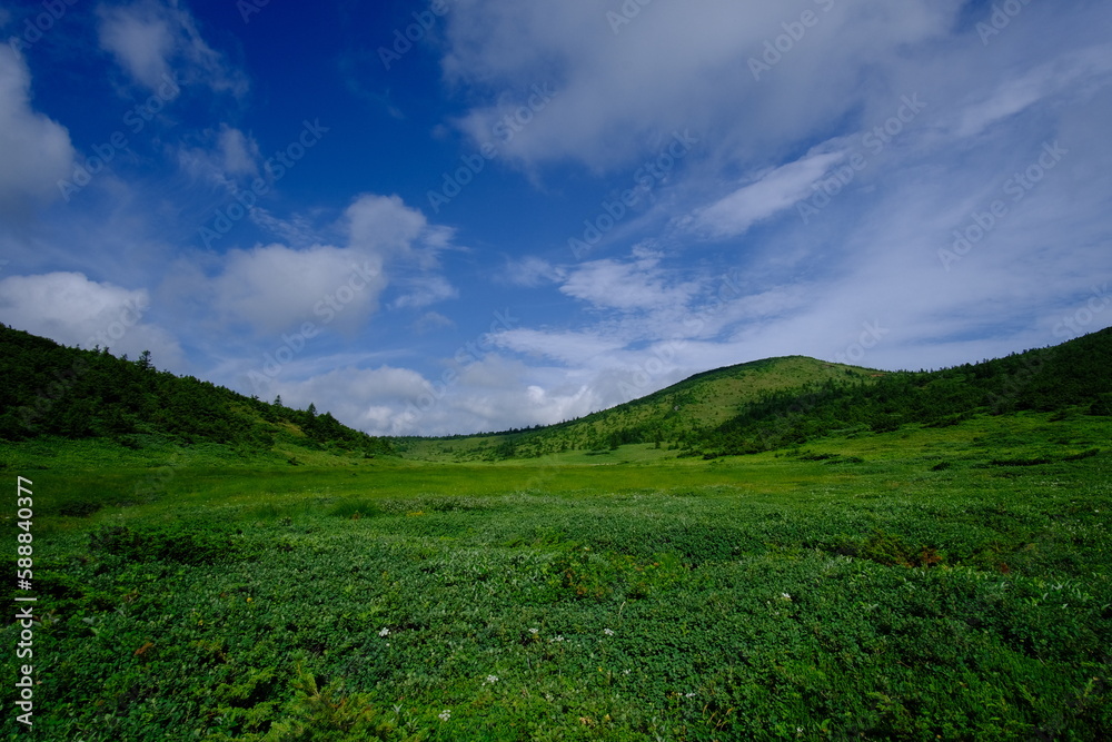a grassy plain of green hills and open blue sky