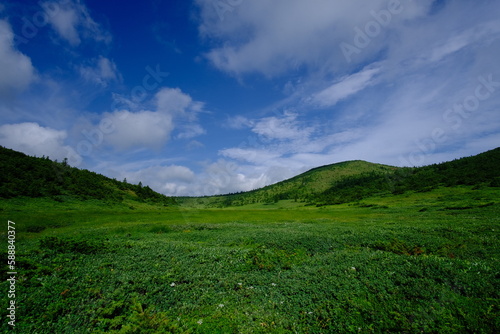 a grassy plain of green hills and open blue sky