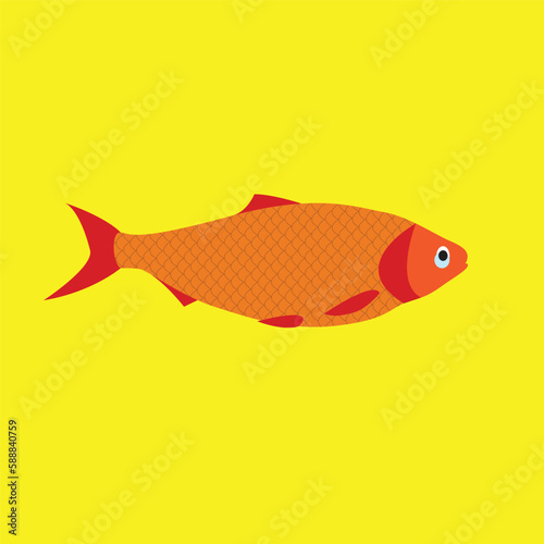 Vector illustration of Hilsafish (National fish of Bangladesh) popular fish in Pohela Boishakh and jamai sasthi among Bengali's in kolkata (Tenualosa ilisha) hilsa herring terbuk ilish, or hilsa shad