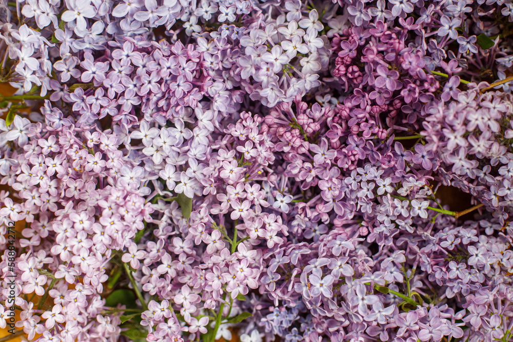 Obraz premium Beautiful lilac flowers flat lay on wooden background. Pink and purple lilacs wallpaper. Floral image
