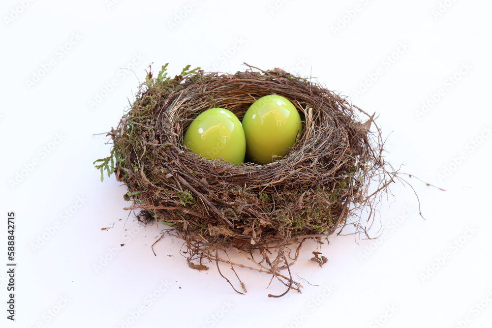 Obraz premium Vogelnest mit Osterei.