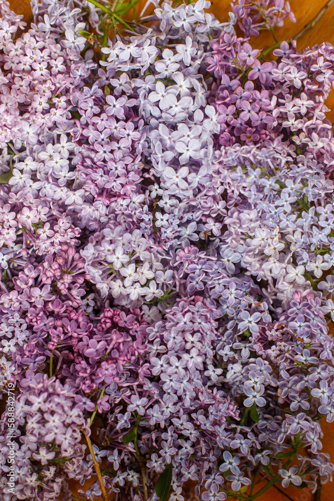 Obraz premium Beautiful lilac flowers flat lay on wooden background. Pink and purple lilacs wallpaper. Floral image