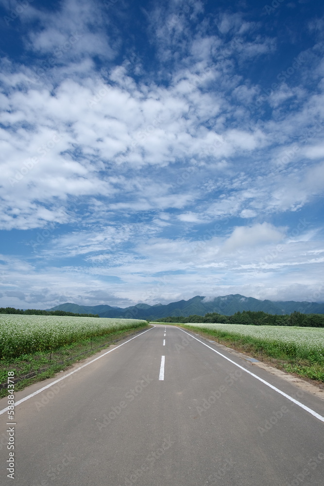 Escape to Japan's Scenic Countryside: The Perfect Harmony of Blue Skies, Rolling Hills, and Green Fields in Bloom, Capturing the Serenity and Beauty of Nature's Magic this Spring. Escape to Japan's Scenic Countryside: The Perfect Harmony of Blue Skies, Rolling Hills, and Green Fields in Bloom, Capturing the Serenity and Beauty of Nature's Magic this Spring.