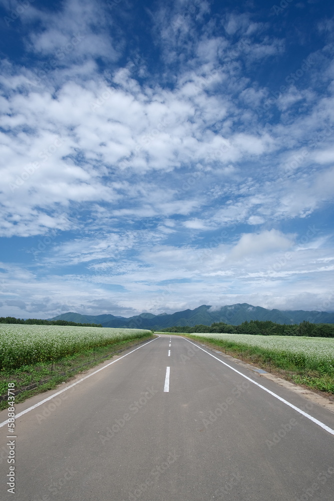 Escape to Japan's Scenic Countryside: The Perfect Harmony of Blue Skies, Rolling Hills, and Green Fields in Bloom, Capturing the Serenity and Beauty of Nature's Magic this Spring.