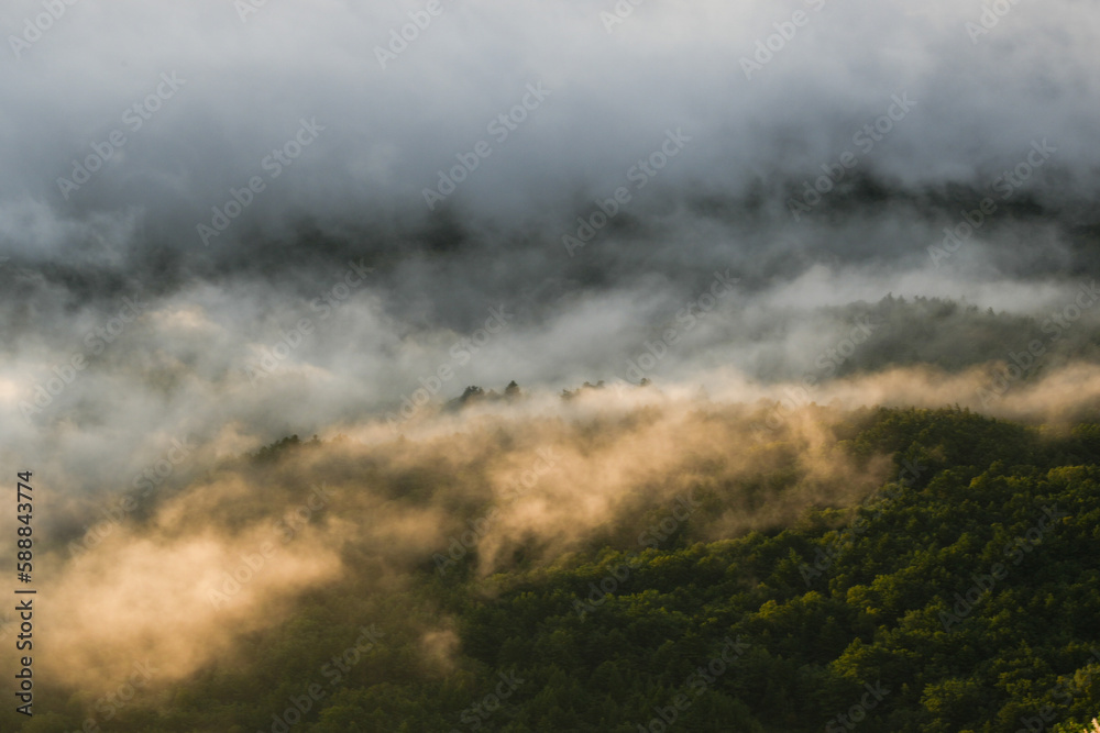mist drifting clouds in a mountainous area, fog is over the top of a hill beside trees,