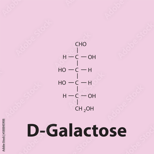 Straight chain form chemical structure of D-Galactose sugar. Scientific vector illustration on pink background.