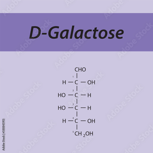 Straight chain form chemical structure of D-Galactose sugar. Scientific vector illustration on purple background, carbon numbering.