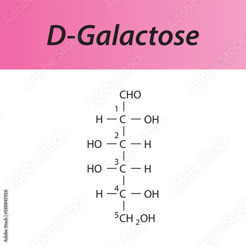 Straight chain form chemical structure of D-Galactose sugar. Scientific vector illustration on white and pink background, carbon numbering.