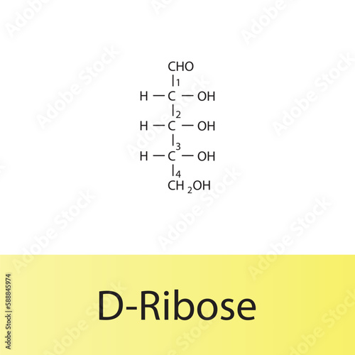 Straight chain form chemical structure of D-Ribose sugar. Scientific vector illustration on white and yellow background, carbon numbering.