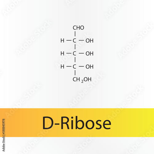 Straight chain form chemical structure of D-Ribose sugar. Scientific vector illustration on white and orange background.