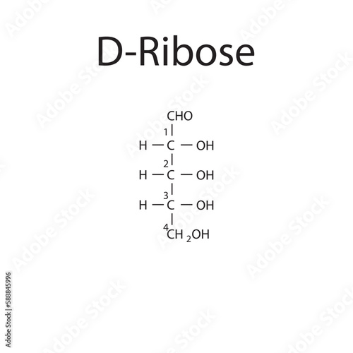 Straight chain form chemical structure of D-Ribose sugar. Scientific vector illustration on white background, with carbon numbering.