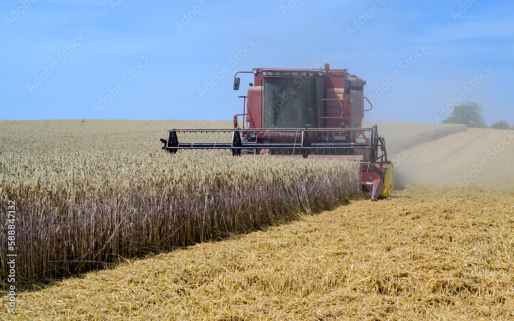 Obraz premium Getreideernte