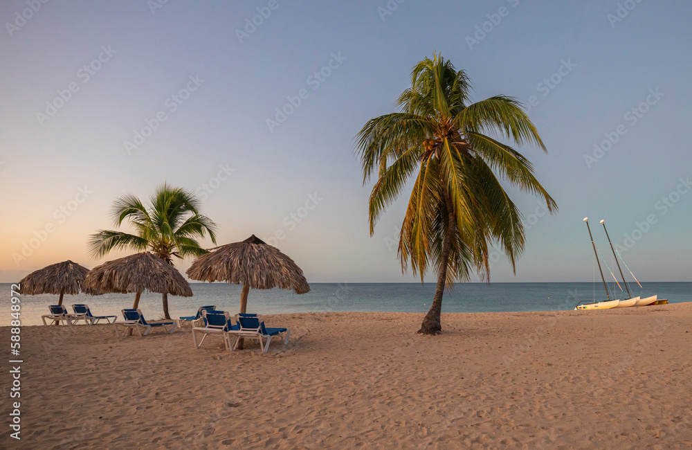 Obraz premium Caribean coast