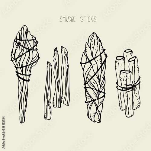 Smudge sticks. Spiritual rituals. Illustration with sage,white sage, Palo Santo sacred plant, aromatherapy sticks, plants.Lifestyle. Mystical hand-drawn set with aroma incense.