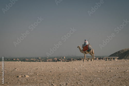 A camello entre dos Egiptos diferentes. On a camel between two different Egypts.  photo