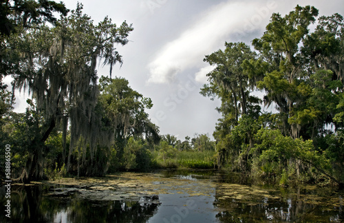 Bayou du sud des USA