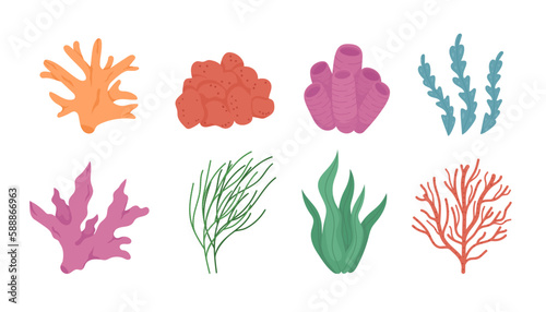 Sea and ocean corals, seaweed, set. Marine Underwater plants. Tropical under water branches. Colored vector illustration isolated on white background