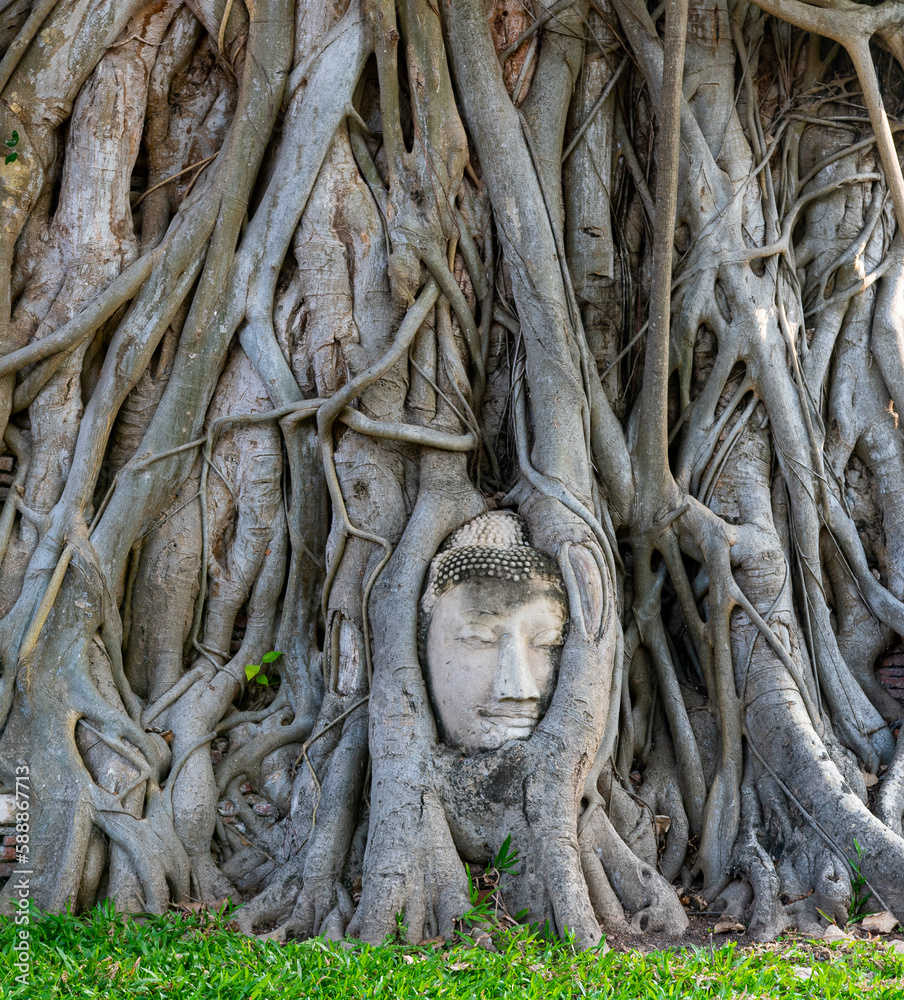 Ayutthaya