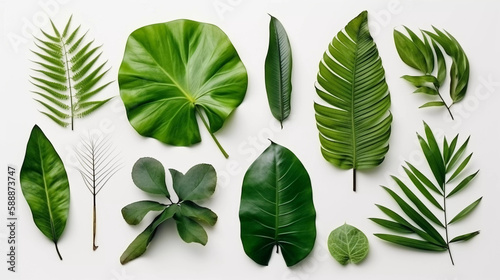 various tropical leaves isolated on white background  generative ai
