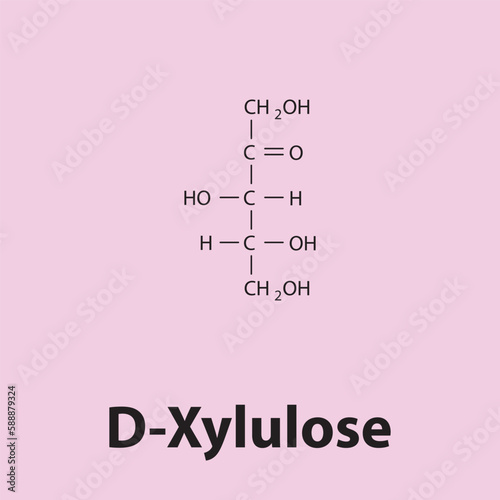 Straight chain form chemical structure of D-Xylulose sugar. Scientific vector illustration on pink background.