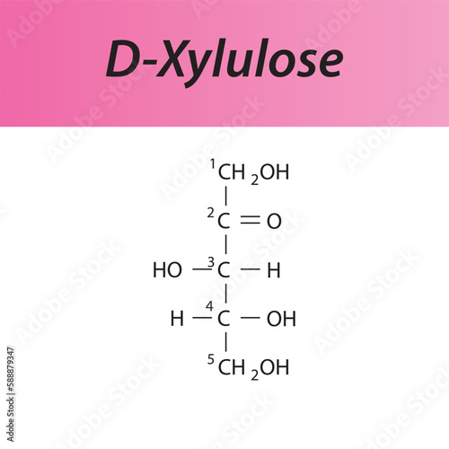 Straight chain form chemical structure of D-Xylulose sugar. Scientific vector illustration on white and pink background, carbon numbering.