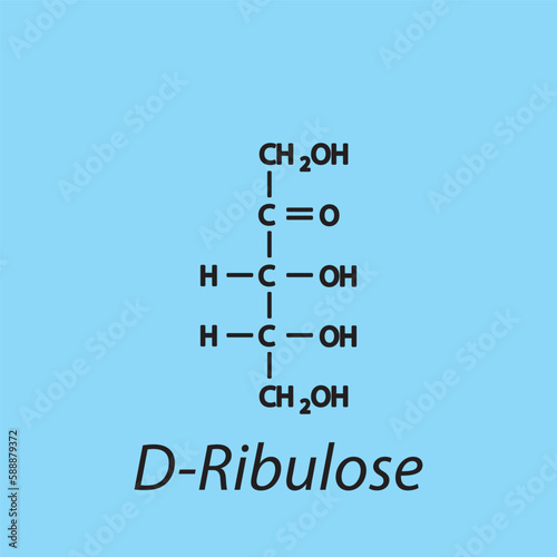 Straight chain form chemical structure of D-Ribulose sugar. Scientific vector illustration on blue background.