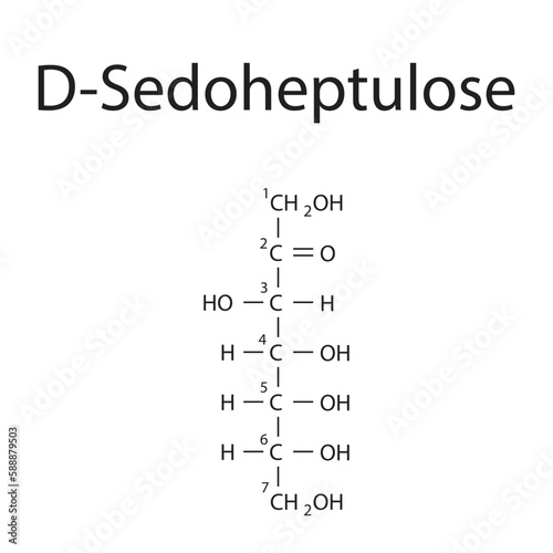 Straight chain form chemical structure of D-Sedoheptulose sugar. Scientific vector illustration on white background, with carbon numbering.