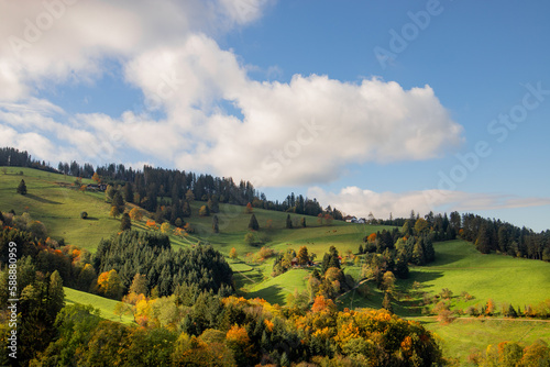 Black Forest in Autumn