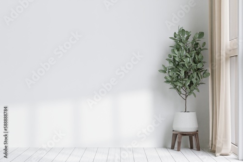 big white living room.interior design,woodedn floor,tree dacoration, empty wall for mock up and copy space..