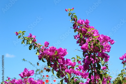 Nature April