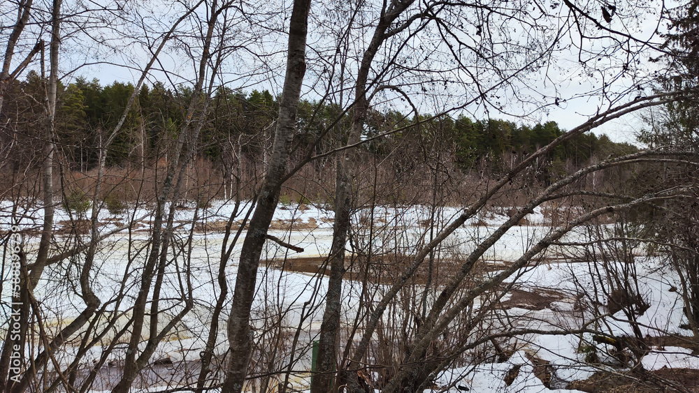 Beautiful landscape with a river with ice on a sunny spring day Beautiful landscape with a river with ice on a sunny spring day