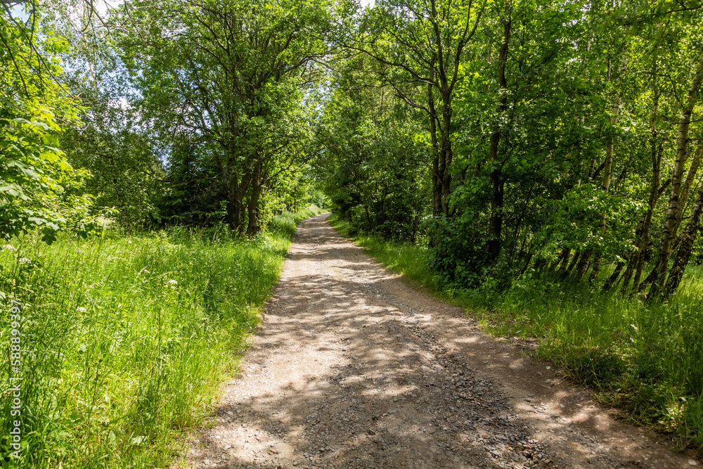 Path near Sanov village, Czech Republic Path near Sanov village, Czech Republic