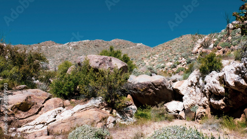 rocky mountain landscape