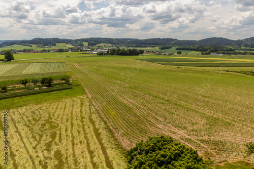 Fields near Zamberk, Czech Republic photo