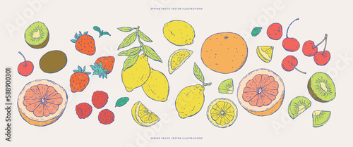 Set of fresh fruits sketches.Vector illustrations.Hand drawn sketches.