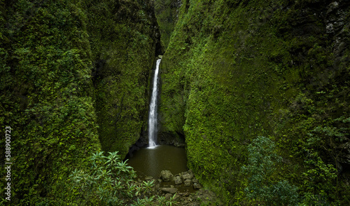 Fototapeta Naklejka Na Ścianę i Meble -  Hawaii waterfall. Green Hawaiian hike nature. Travel destination.