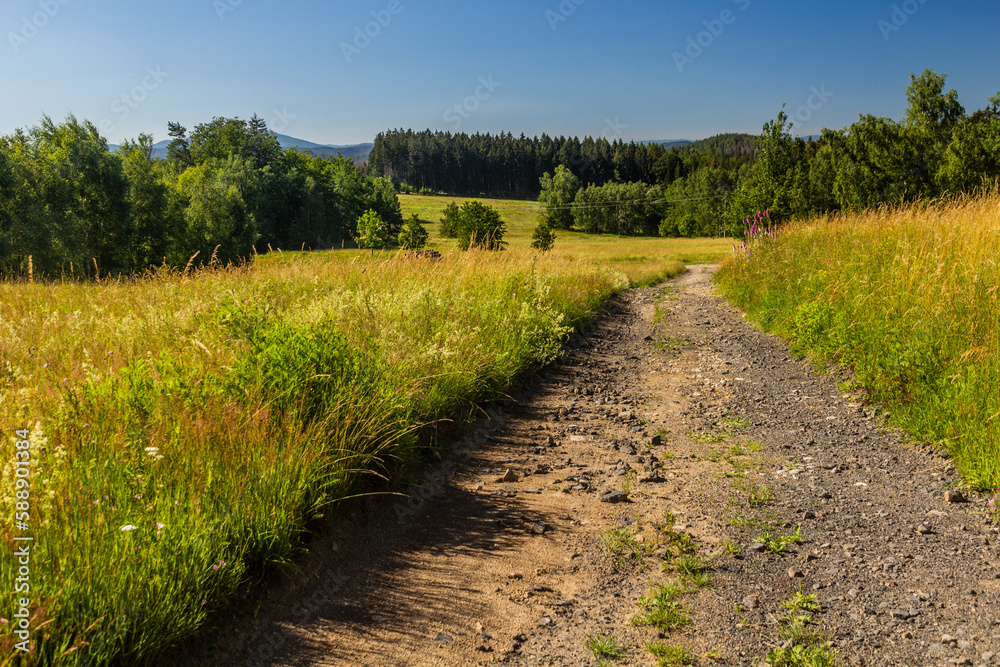Path in Bohemian Switzerland, Czech Republic Path in Bohemian Switzerland, Czech Republic
