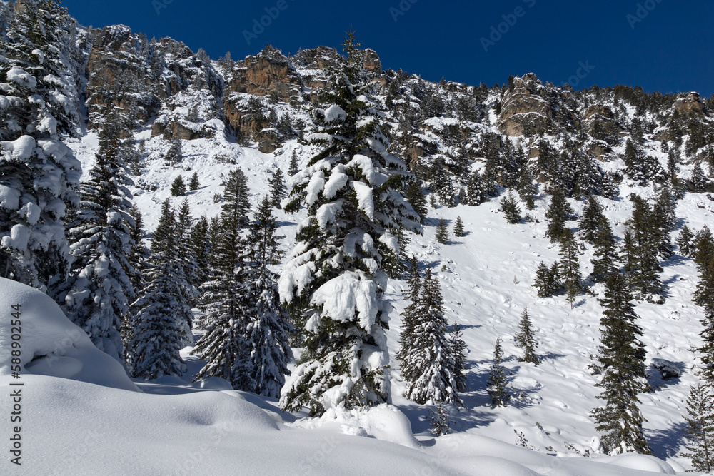 Fototapeta premium Winter view of Rila Mountain near Malyovitsa peak, Bulgaria