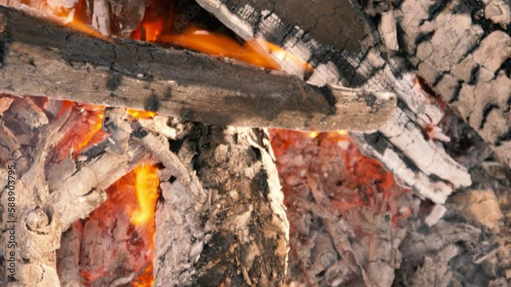 beautiful flaming wood fire. Oak wood. Flames are rising. charred wood beautiful flaming wood fire. Oak wood. Flames are rising. charred wood