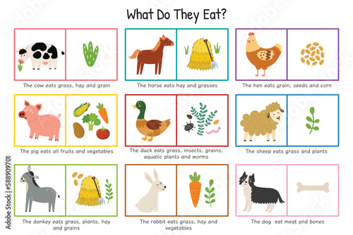 What Do They Eat educational poster for kids. Animals and food they eat set with cow, pig, sheep, horse, etc. Learning print for school and preschool. Vector illustration