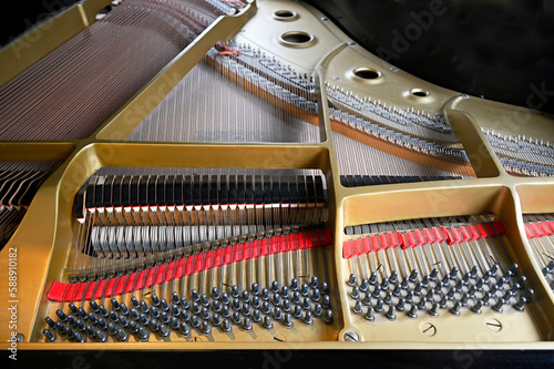 Grand Piano Strings, Hammers, Tuning Pegs, and dampers Closeup  © NigelSpiers
