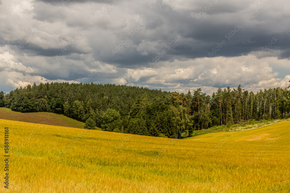Fields near Dolni Cermna, Czech Republic