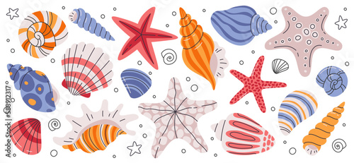 Photo Sea Shells And Starfish Set