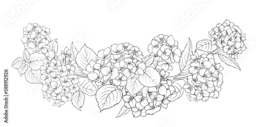 Black silhouette of a garland of hydrangeas flowers. Vector illustration on white background.
