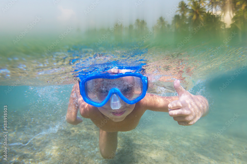 Naklejka premium Tropical background